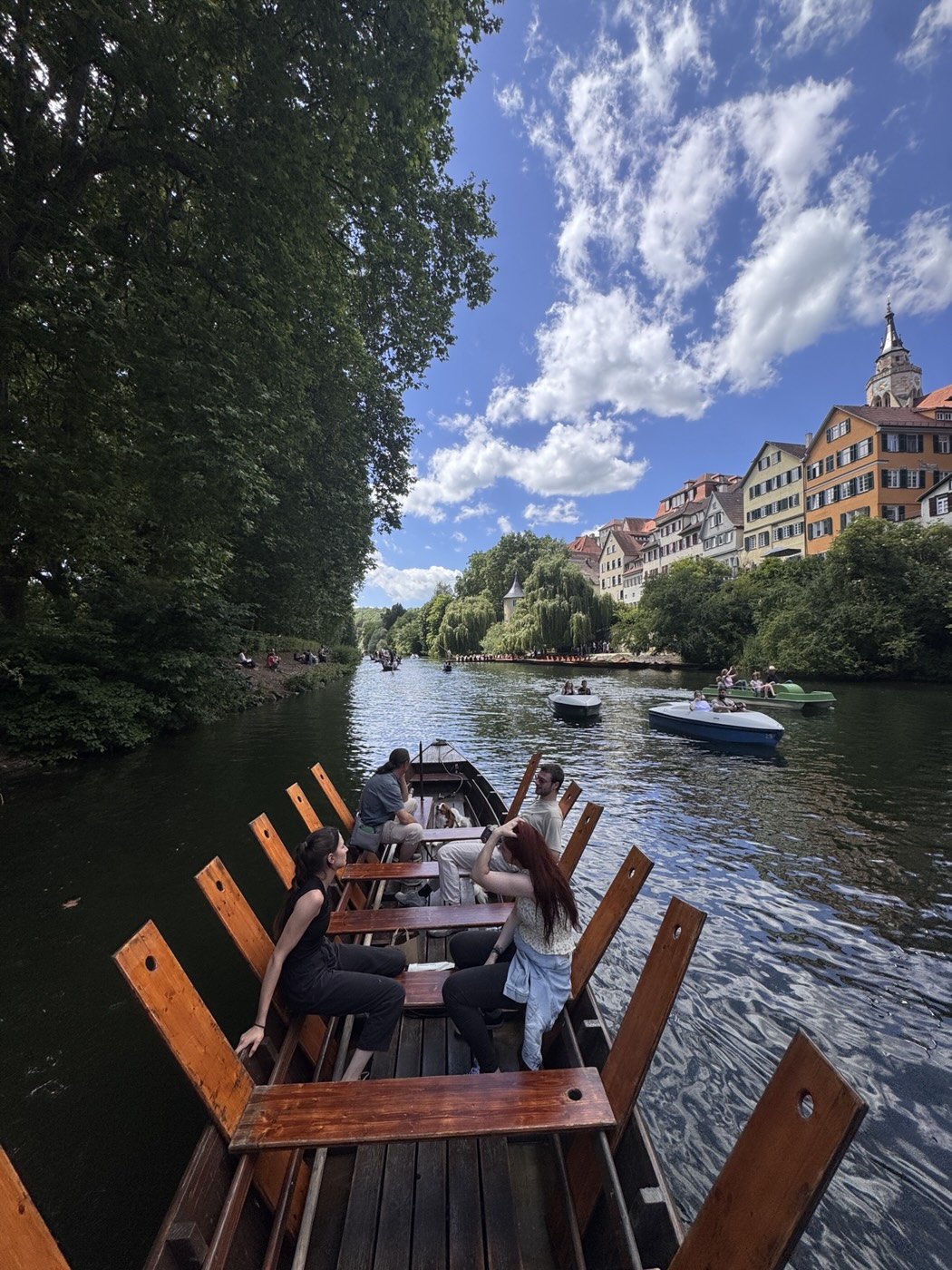 Punting through green Tübingen, seen from aboard the boat